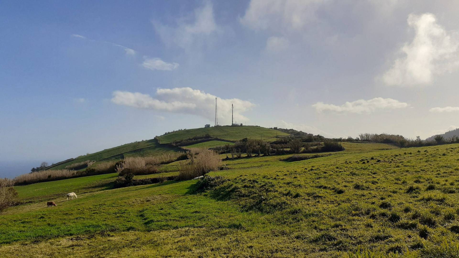 plot views privacy faial