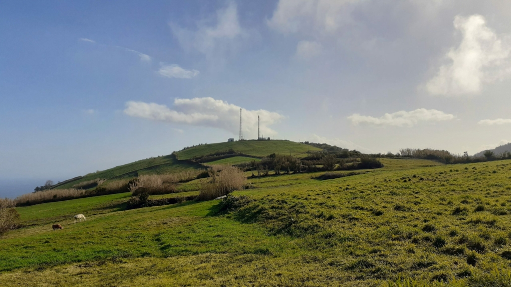 plot views privacy faial