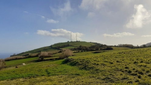 plot views privacy faial