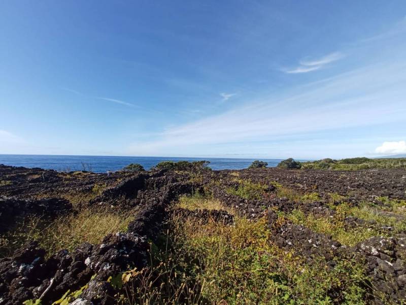 Home Azores Properties