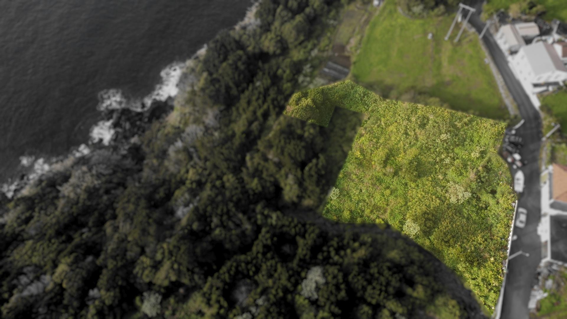 buildable plot landscape island