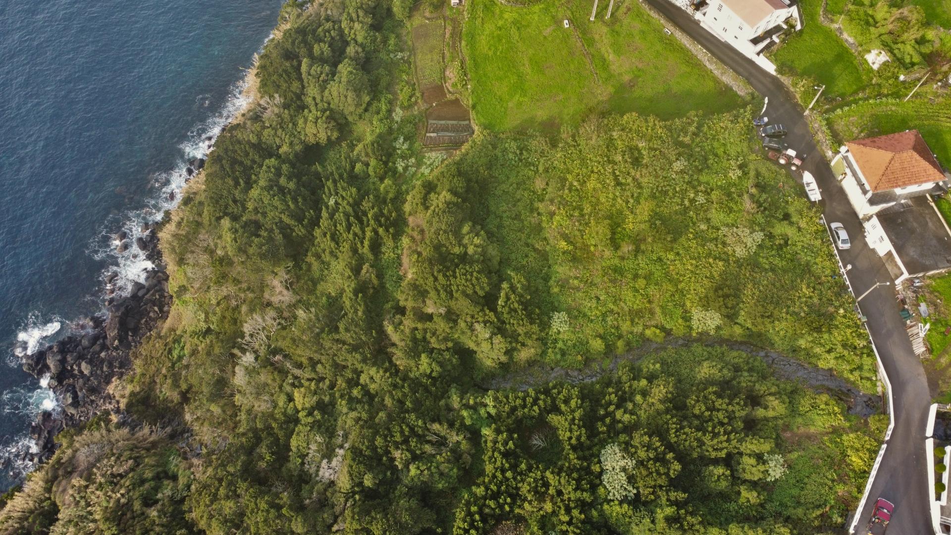 buildable plot landscape island