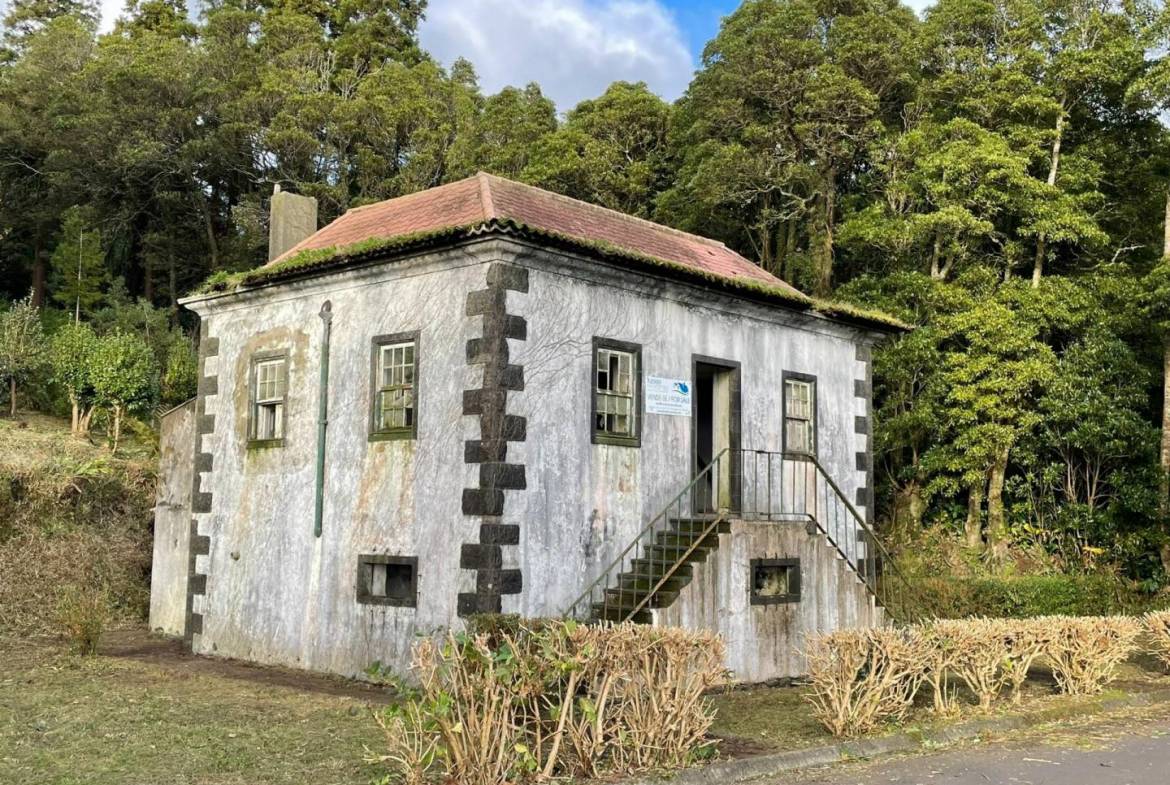 offgrid house forest Faial