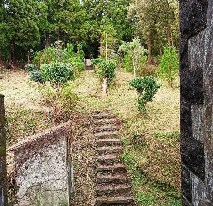 offgrid house forest Faial